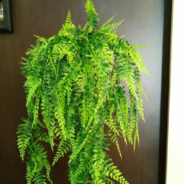 Daun Gantung Plastik Palsu Buatan Plastic Sintetis Dekorasi Hiasan Artificial  023