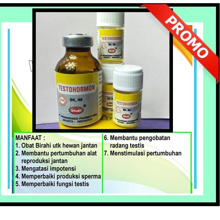 Koleksi Terbaru.. TESTOHORMON JANTAN TESTOHORMON BURUNG KELINCI TESTOHORMON UNTUK HEWAN TESTOHORMON 