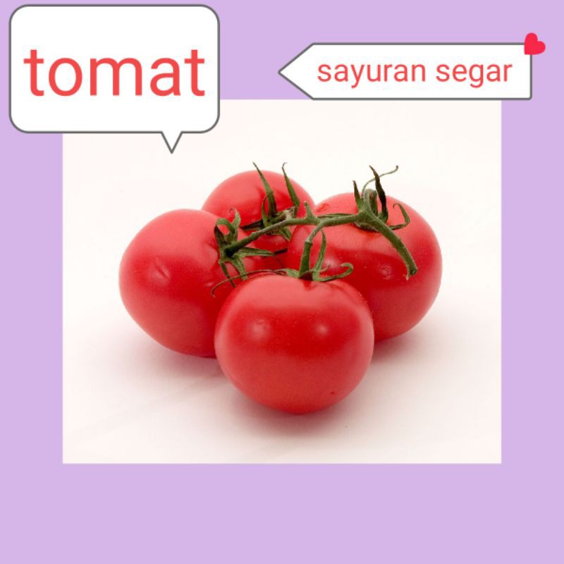 

TOMAT MERAH SEGAR