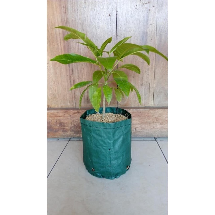 Planter Bag 3 Liter no handle hijau - easy grow