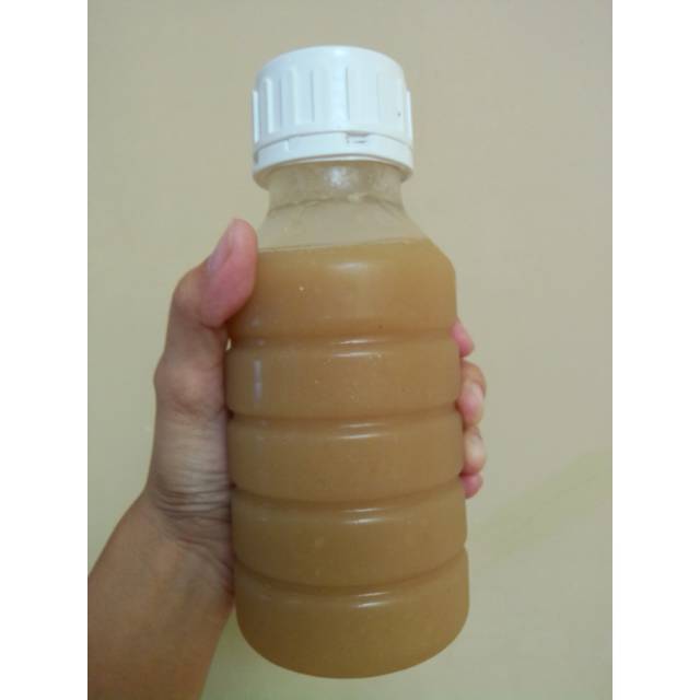 

Mongi jus