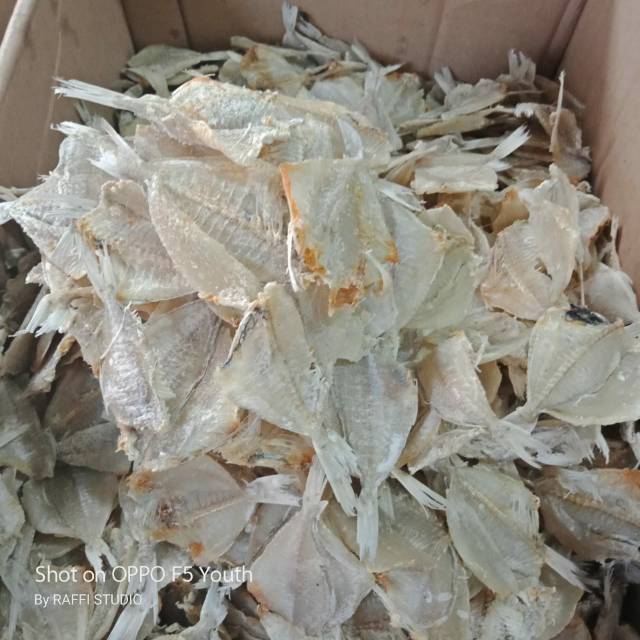 

Ikan asin pakang,tanpa formalin, dijamin bagus,