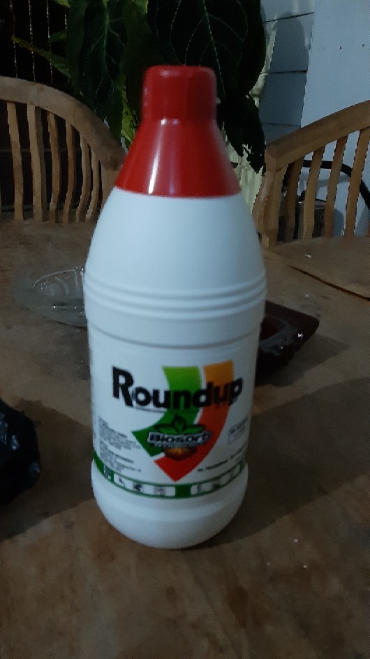 Roundup 486 Sl 1l Herbisida Pembasmi Rumput 1 Liter