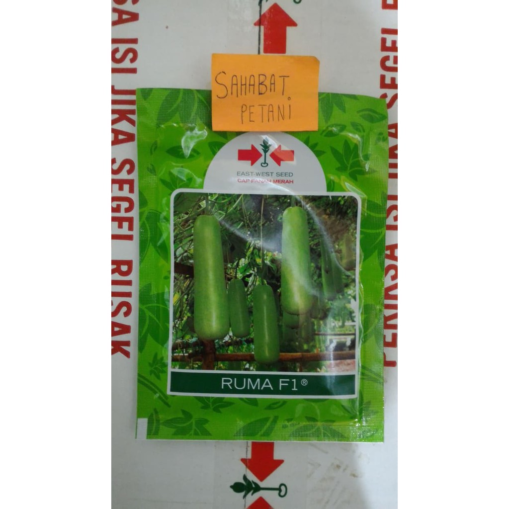 Benih Labu Siam Air Ruma 10 Gr