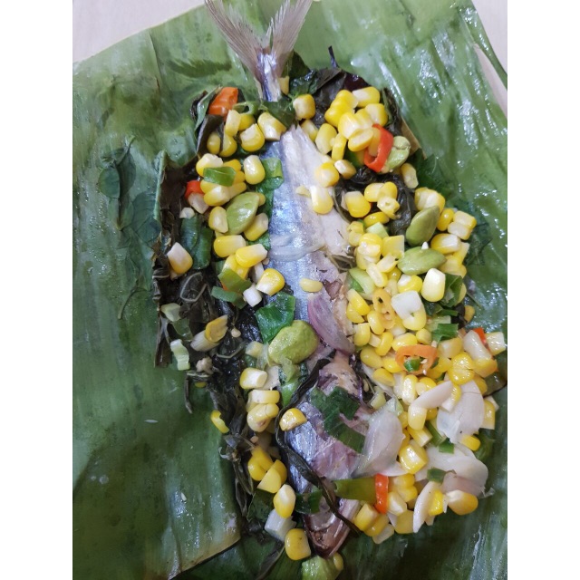 

ikan peda daun singkong