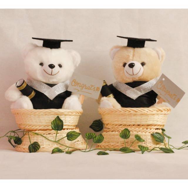  BONEKA  wisuda keranjang  basket graduation doll Shopee 