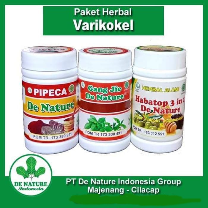 Paket Penyakit Varikokel Hernia Turun Berok De Nature