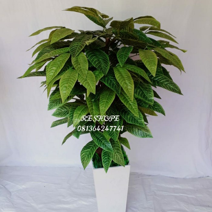 Jual Bunga Hias Plastik Pohon Daun Lucky Hijau Tinggi 120cm Shopee