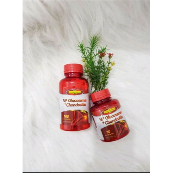 Nature’s Pride NP Glucosamin + Chondroitin Glucosamin isi 30 tablet