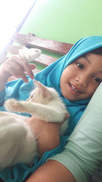 Flush Bold Realock 8+12 Stanlis 304,grendel Tanam,selot Tanam Stanlis Flush Bold Dekson Kunci Selt