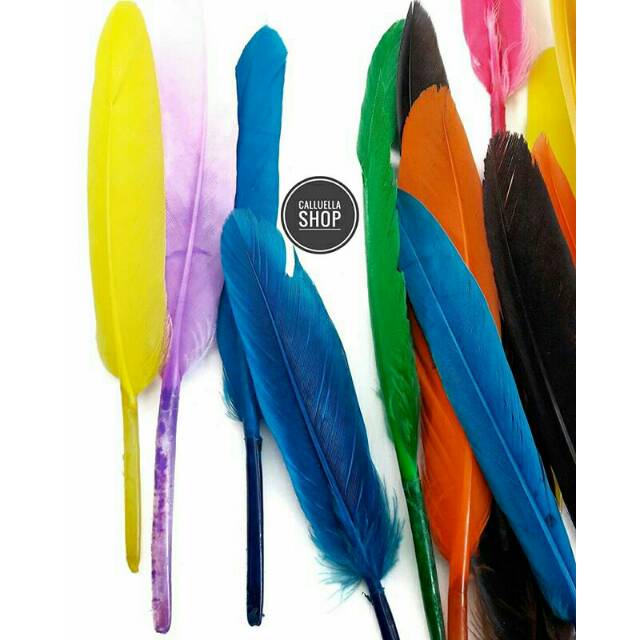 BULU AYAM BETINA MIX WARNA | BAHAN AKSESORIS DIY CRAFT KERAJINAN PRAKARYA