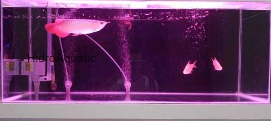 PROMO Lampu Aquarium 50cm WARNA MERAH ( PINK ) / Lampu celup / Lampu led aquarium / Lampu akuarium / Dekorasi akuarium / model t4