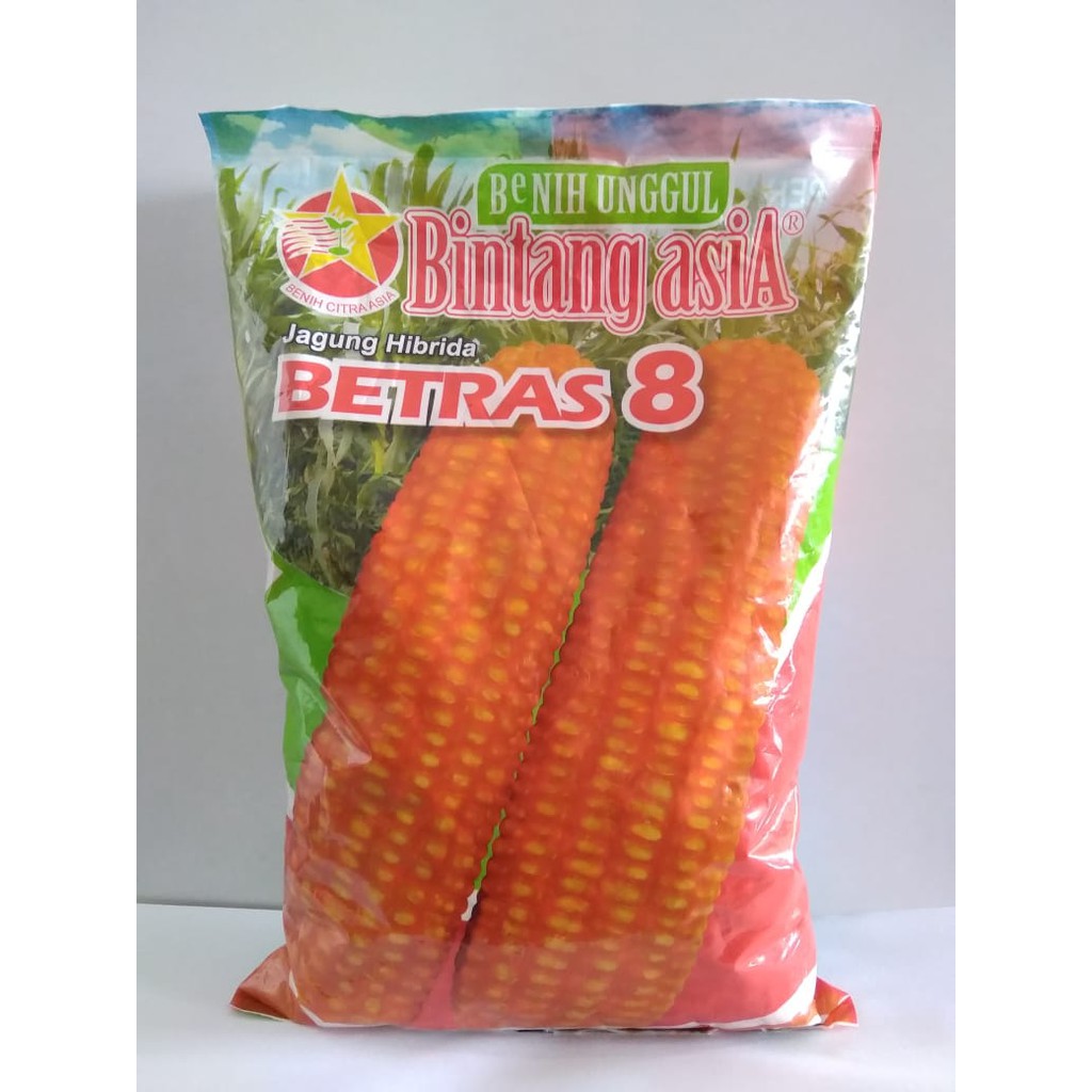 Benih / BIbit  Jagung Hibrida Betras 8 Bintang Asia @ 1 Kg