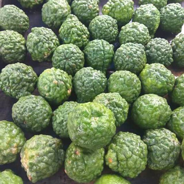 

Buah jeruk furut petik langsung perbiji