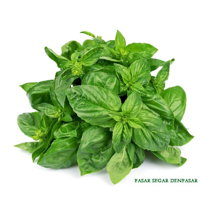 

ITALIAN BASIL/100Gr