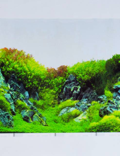 Gambar background hiasan dinding Aquarium tinggi 30cm panjang 1 meter (RANDOM)