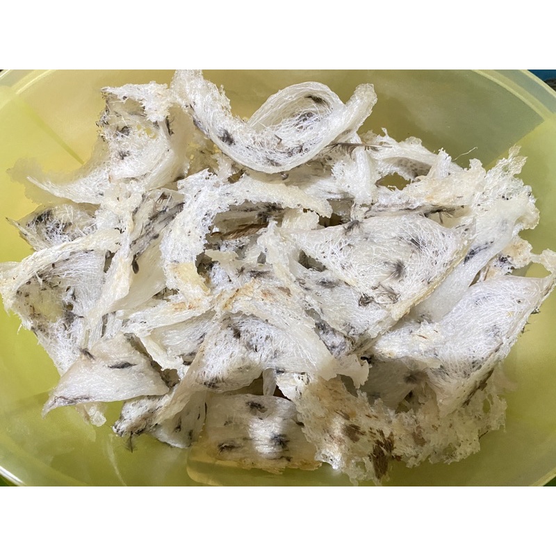 SARANG BURUNG WALET ASLI