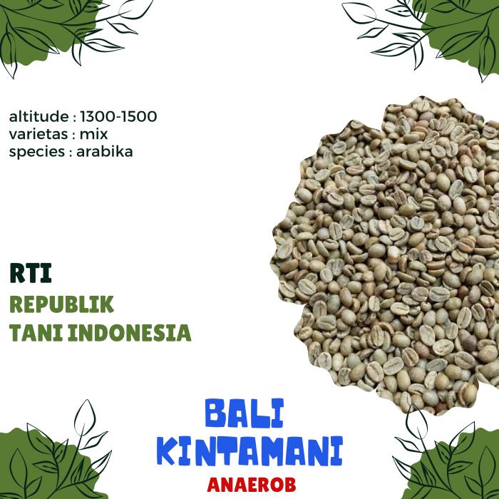 Biji kopi mentah ARABIKA BALI KINTAMANI ANAEROB proses - GREEN BEAN