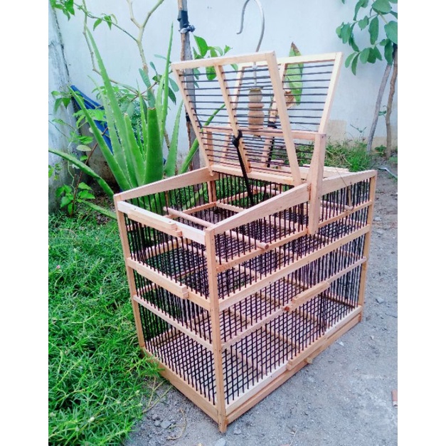 kandang jebak burung