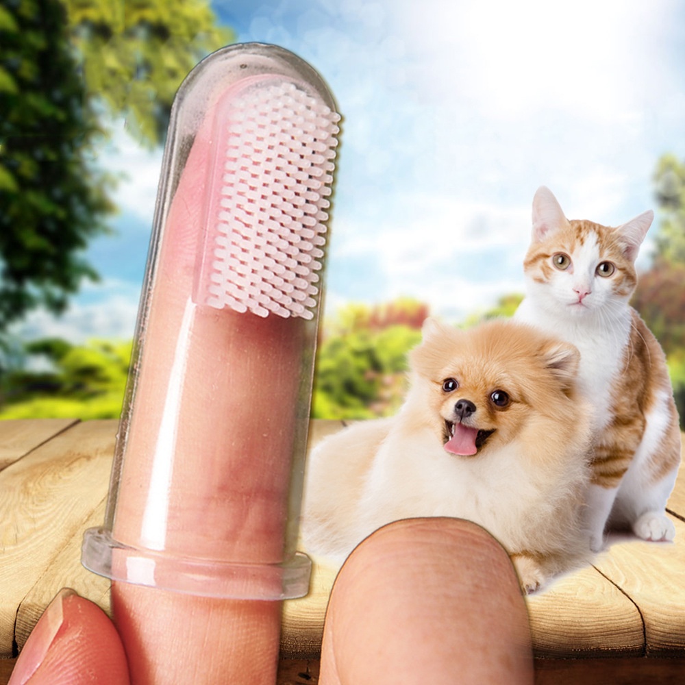 Sikat Lidah /Sikat Gigi Jari Hewan Kucing Anjing/Finger Pet Toothbrush Termurah