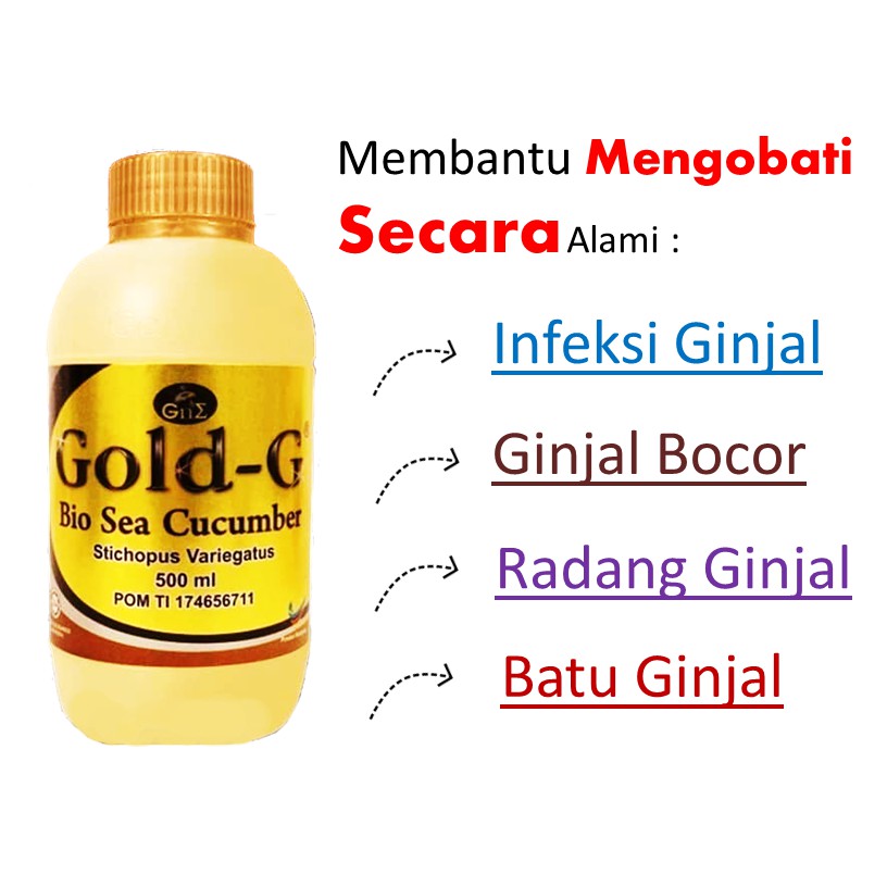 Obat Penghancur Batu Ginjal Alami Jelly Gamat Gold G Indonesia