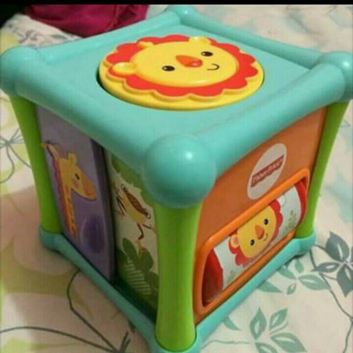 Fisher Price Animal Activity Cube