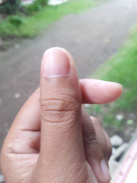 Styrofoam Cutter/pemotong Gabus