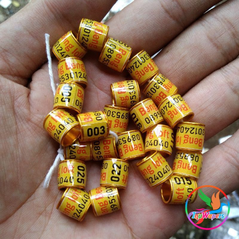 RING MERPATI CUSTOM NAMA  RING MERPATI REQUEST NAMA SENDIRI