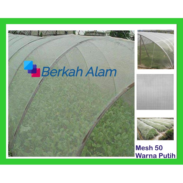 Insect Net / Screen Net / Kelambu / Jaring Penghalang Serangga Putih