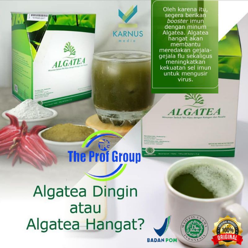 Alga Tea - ALGA TEA OBAT HERBAL KANKER - TUMOR - KISTA - KELOID - Teh Alga ALGA