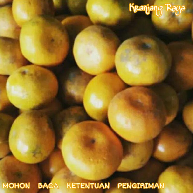 

Jeruk Medan