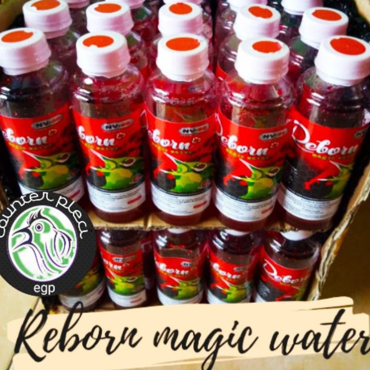 REBORN MAGIC WATER PLECI DOPING PLECI REBORN MAGIC WATER NV-88 FORMULA NV88