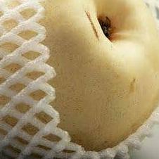 FOAM NET BUAH - JARING BUAH BUSA FOAM BUAH