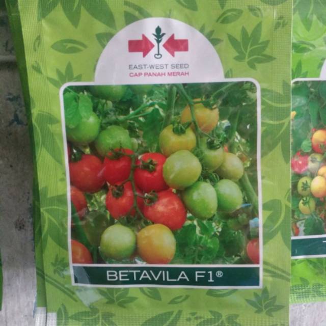 Benih Tomat BETAVILA F1 isi 150 biji