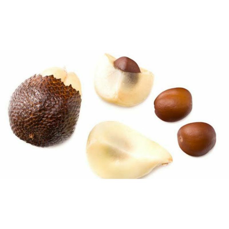 biji salak pondoh