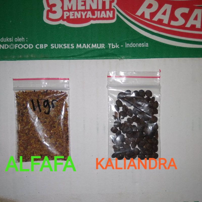 BENIH BIJI BIBIT ALFAFA DAN KALIANDRA