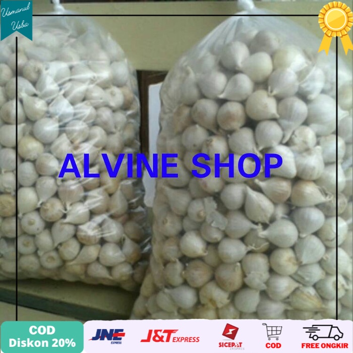 

◾COD◾ Bawang putih tunggal alami/Bawang lanang Alami