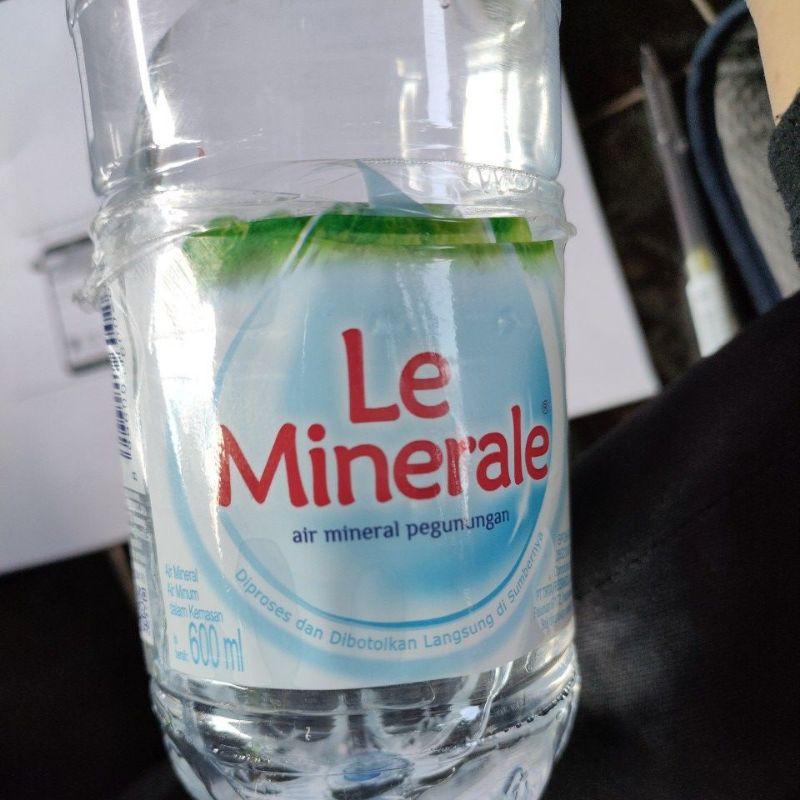 

Le Mineral