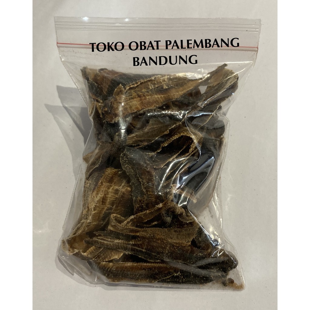 CACING KERING 19GR DILONG TILUNG OBAT DEMAM TIPES TILUNG KAN