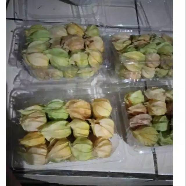 

Buah ciplukan