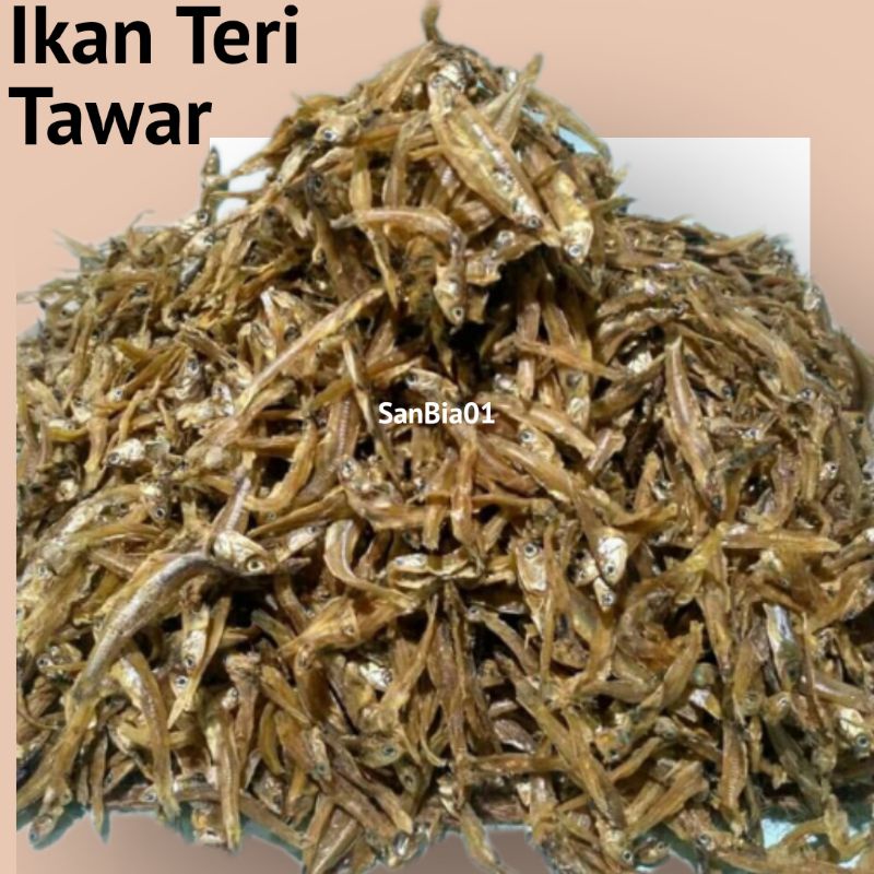

Ikan Teri Tawar 100 Gram