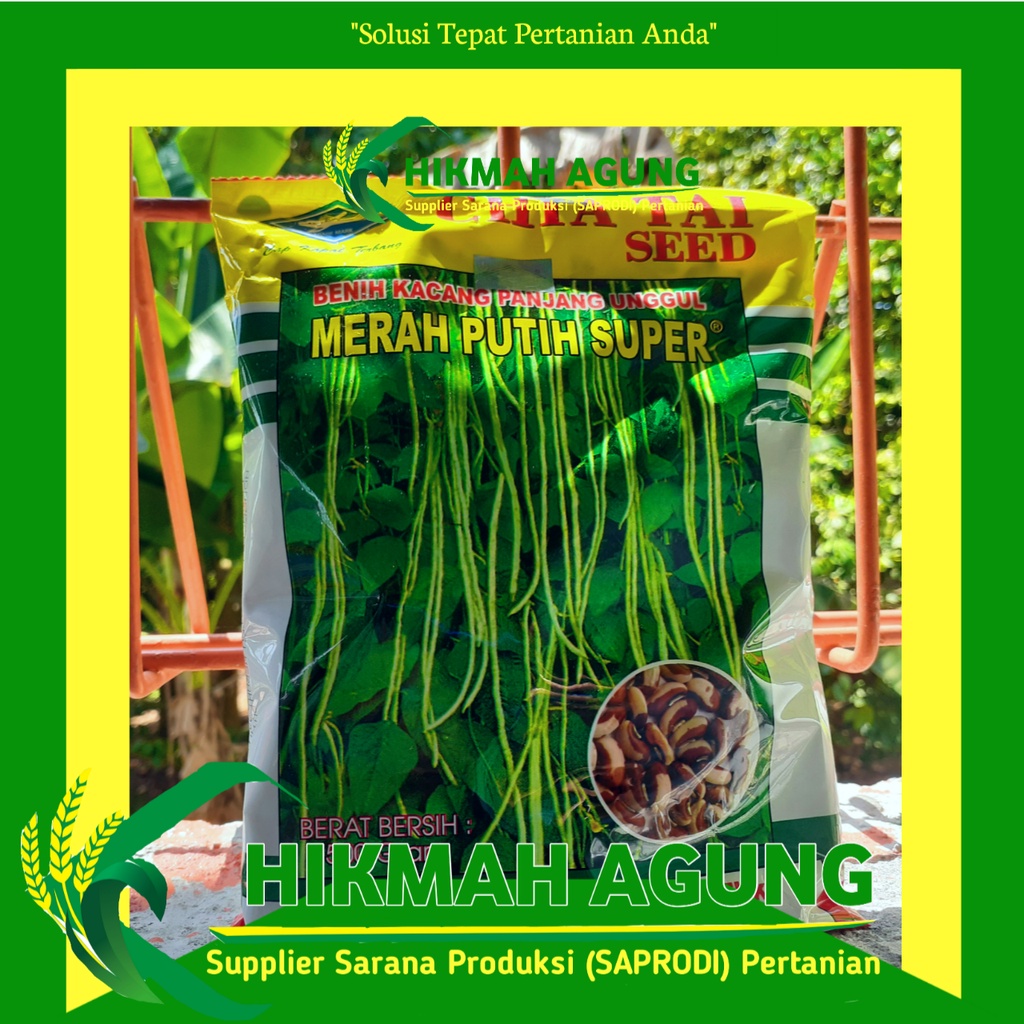 Benih Unggul Kacang Panjang Merah Putih Super 500 gram Cap Kapal Terbang