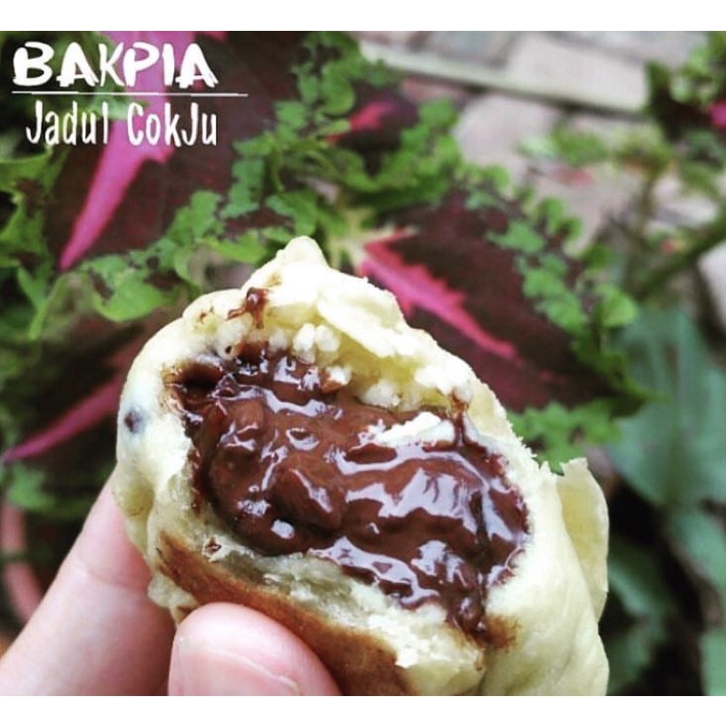 

bakpia jadul/ bakpia basah.Halal