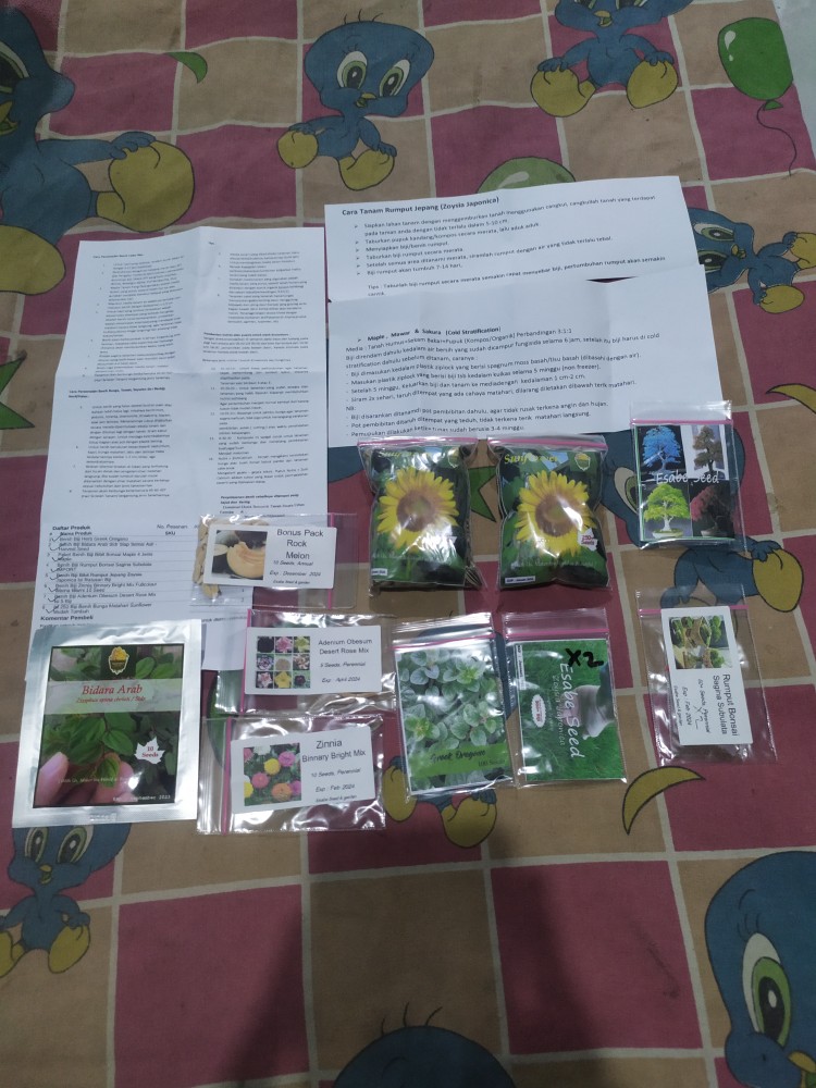 Benih Biji Zinnia Binnary Bright Mix Fullcolour Warna Warni 10 Seed