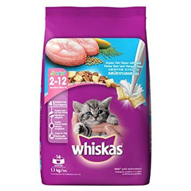 Makanan Kucing / Cat Food WHISKAS JUNIOR 1,1 KG