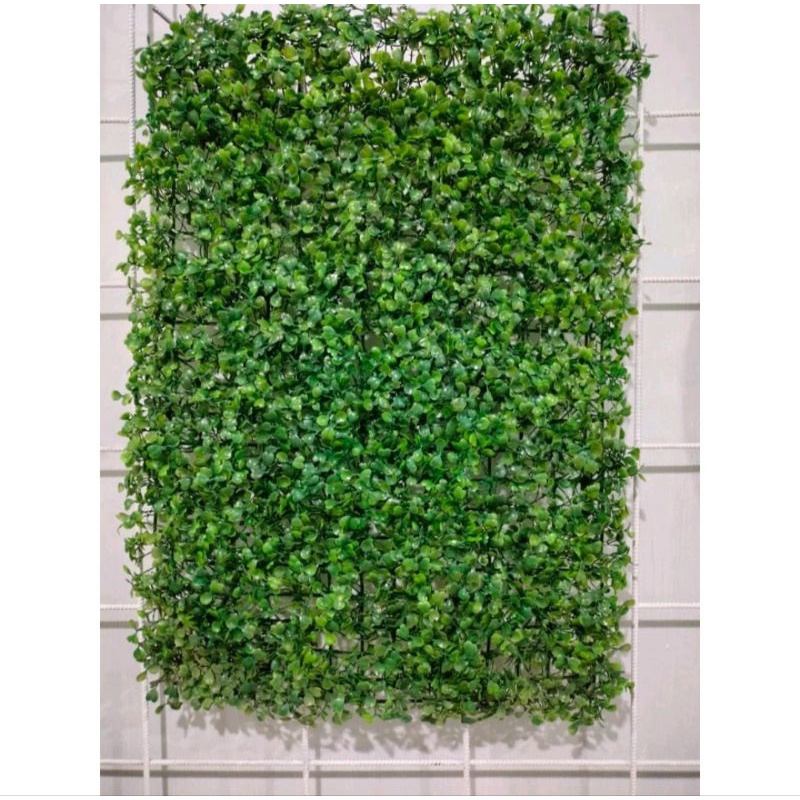 Daun Dolar Sintetis - Daun Rambat Dinding - Daun Sintetis Dolar Rambat