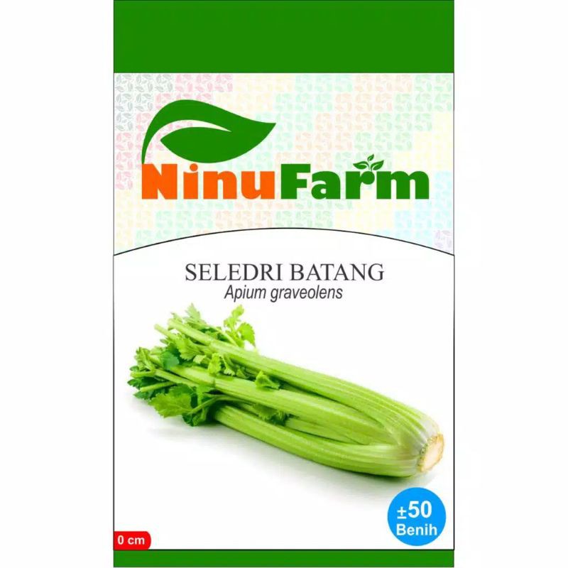 Benih Seledri Batang / Bibit Seledri Batang Besar