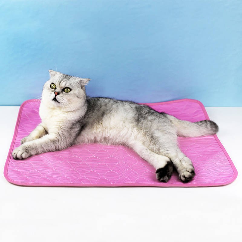 Bantalan Es Pendingin Untuk Anjing Kucing Shopee Indonesia