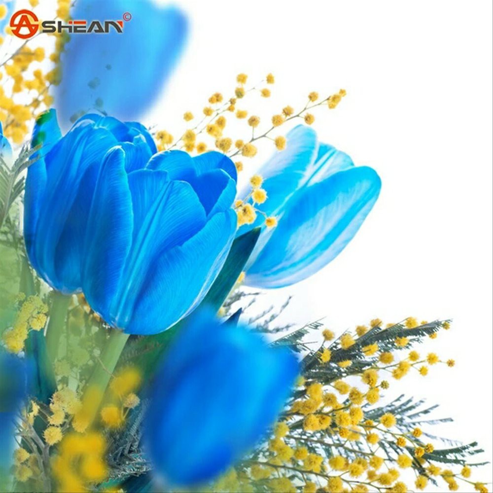 Bibit Tanaman Bunga Tulip Biru Rare Blue Tulip Benih Bibit Tanaman Hias Untuk Dekorasi Rumah Shopee Indonesia