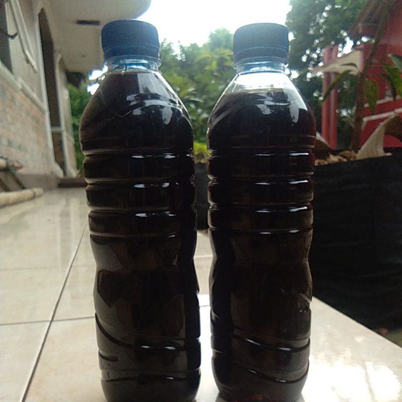 PUPUK ORGANIK /fermentasi urine kelinci